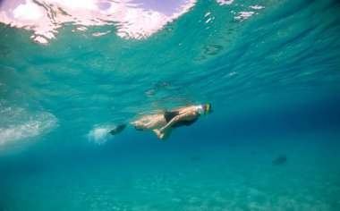 Karayip adası Curacao 'da türtellerle yüzmek