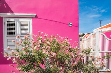 Otrobanda 'nın, Willemstad' ın, Curacao 'nun Dünya Mirası Bölgesi' nde dolaşıyorum. 