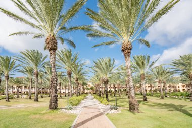 Curacao Hollanda Antilleri 'nde küçük bir Karayip Adası görüyor