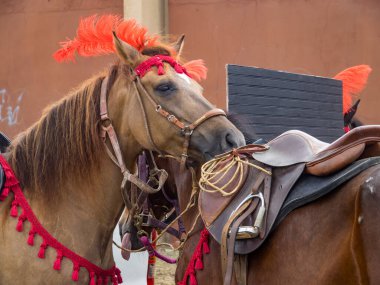 At geçidi Curacao Hollanda Antilleri 'nde küçük bir Karayip Adası' na bakıyor