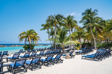 Karayip Adası Curacao 'daki Mambo Plajı