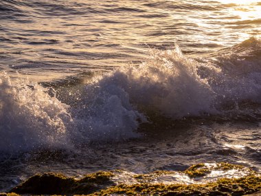 Günbatımında dalgalar Karayip adası Curacao 'da 