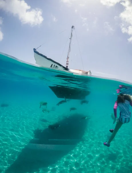 Плавання Черепашками Карибському Острові Куракао — стокове фото