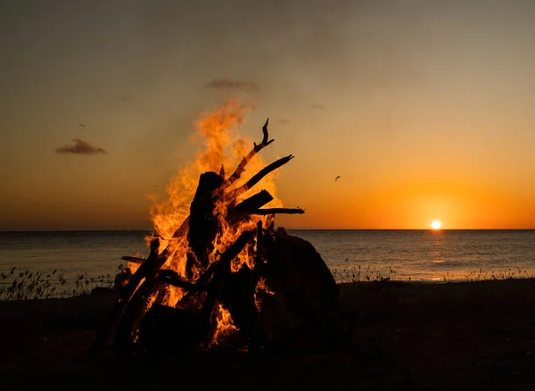 Campfire Beach Sunset — Stock Photo, Image