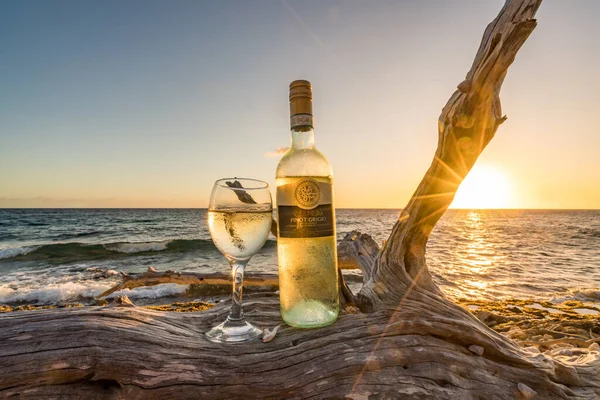 Glas Und Flasche Wein Auf Abgestorbenem Getrockneten Baum Bei Sonnenuntergang — Stockfoto