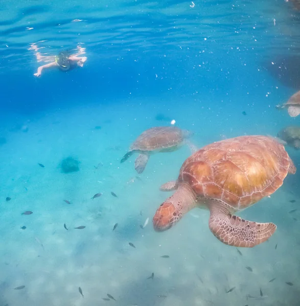 Spacer Świecie Heritage Site Otrobanda Willemstad Curacao — Zdjęcie stockowe