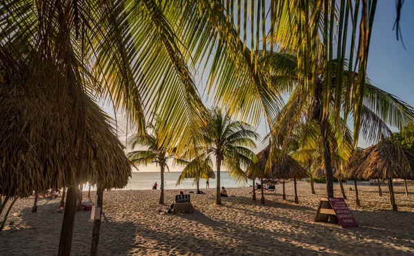Tropikal Karayip adası Curacao 'nun manzarası 