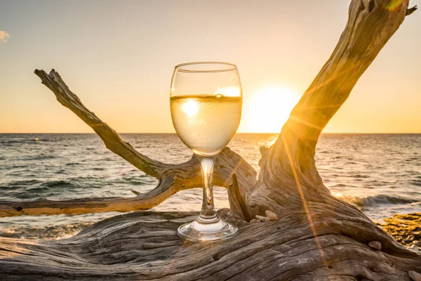 Glas Wein Auf Abgestorbenem Getrockneten Baum Bei Sonnenuntergang — Stockfoto