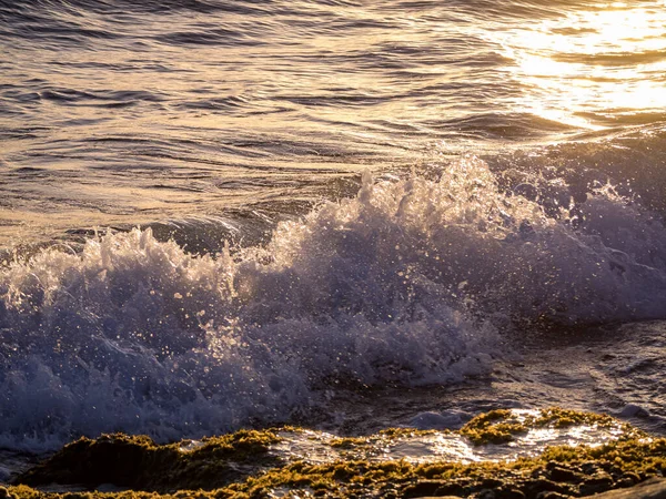 Olas Atardecer Isla Caribeña Curazao —  Fotos de Stock