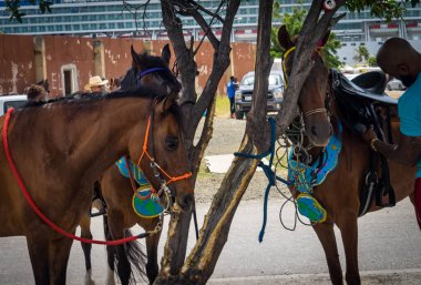 At geçidi Curacao Hollanda Antilleri 'nde küçük bir Karayip Adası' na bakıyor