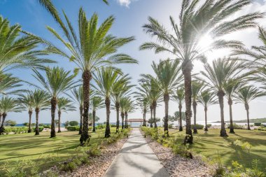 Curacao Hollanda Antilleri 'nde küçük bir Karayip Adası görüyor