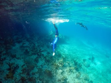 Su, tropikal Karayip adası Curacao 'yu çevrelemektedir. 