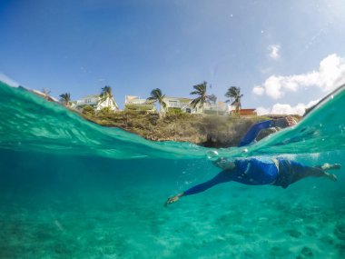Su, tropikal Karayip adası Curacao 'yu çevrelemektedir. 