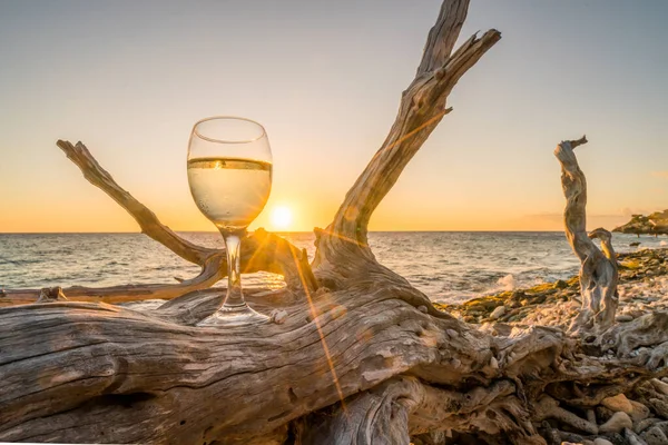 Glas Wein Auf Abgestorbenem Getrockneten Baum Bei Sonnenuntergang — Stockfoto