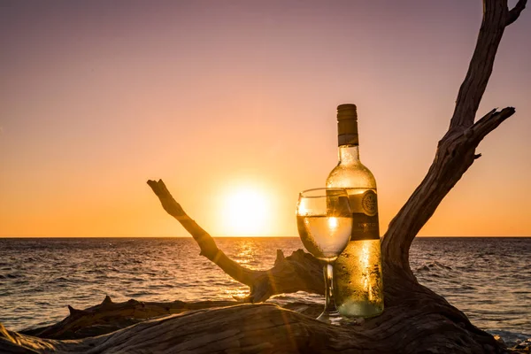 Glas Und Flasche Wein Auf Abgestorbenem Getrockneten Baum Bei Sonnenuntergang — Stockfoto
