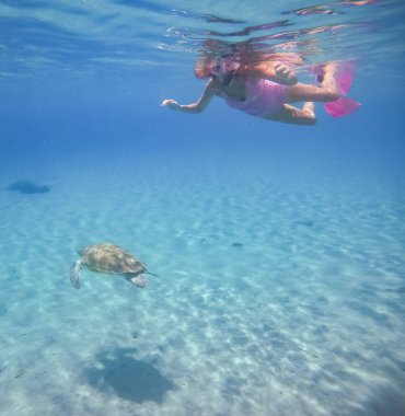 Curacao 'daki tipik bir tropik adanın güzel manzarası