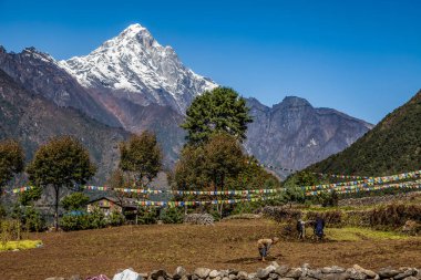 Everest Tepeleri 'nin eteklerinde Himalayalar' ın Nepal Dağları 'nı turluyorlar.