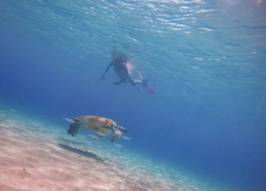 Curacao 'daki tipik bir tropik adanın güzel manzarası