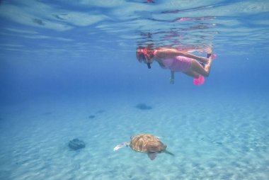 Curacao 'daki tipik bir tropik adanın güzel manzarası