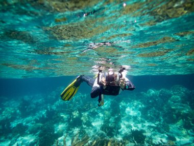 Su altı dünyasından bir resim. Şnorkelleme