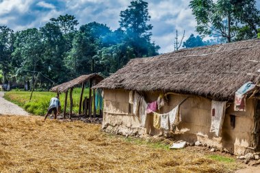 Chitwan Ulusal Parkı Nepal