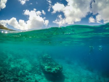 Curacao 'daki tipik bir tropik adanın güzel manzarası