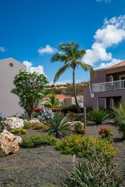 Curacao 'daki tipik bir tropik adanın güzel manzarası