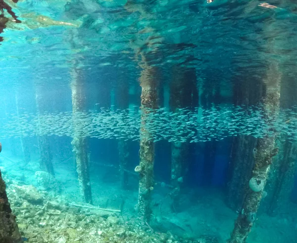 Underwater Picture Rusted Bridge Supports — Stock Photo, Image