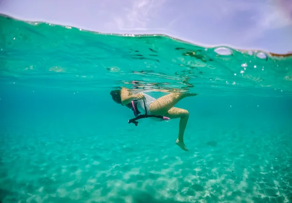 Nager Avec Des Tortues Des Pélicans Sur Curaçao — Photo