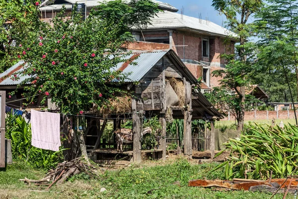 Park Narodowy Chitwan Nepal — Zdjęcie stockowe