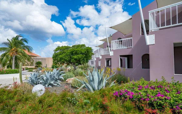 Prachtig Uitzicht Een Typisch Tropisch Eiland Curacao — Stockfoto