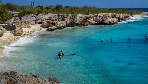 카리브해의 섬에서는 안내원들 구경할 수있다 — 스톡 사진
