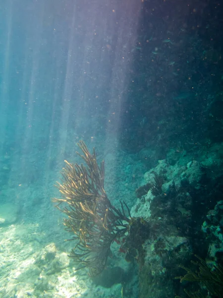 Altı Ibrakha Manzarası Karayip Adası Curacao — Stok fotoğraf