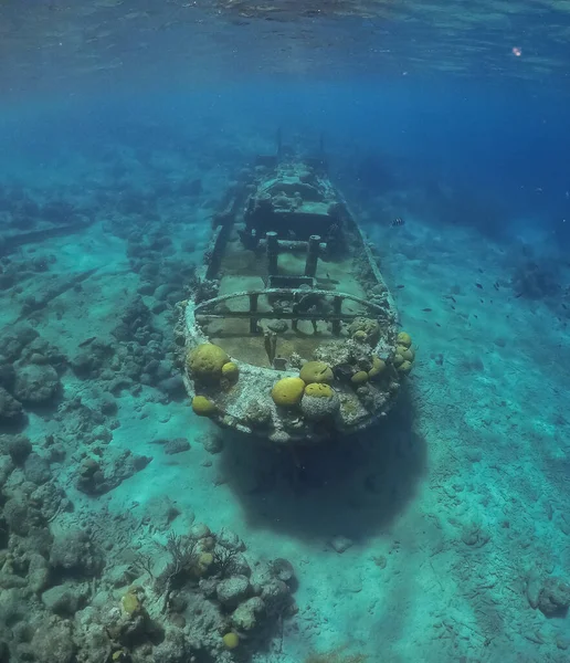 Barco Oxidado Ahogado Fondo Del Mar Imágenes Submarinas — Foto de Stock