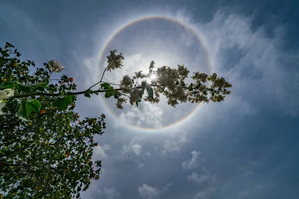 Ein Sonnenhalo Sonnenhund Sonnenbogen Viele Worte Dieses Erstaunliche Ereignis Beschreiben — Stockfoto