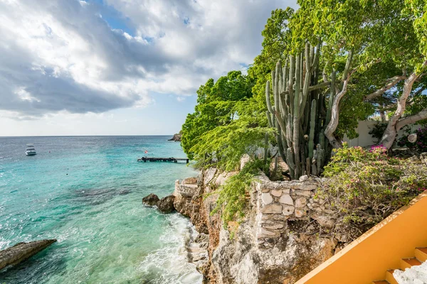 Tropisk Strand Med Klippor Träd Kaktusar Och Havsutsikt — Stockfoto