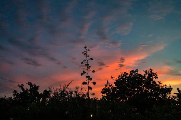 Zonsondergang Boven Oceaan Het Caribische Eiland Curacao — Stockfoto