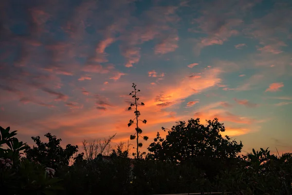 Закат Над Океаном Карибском Острове Кюрасао — стоковое фото