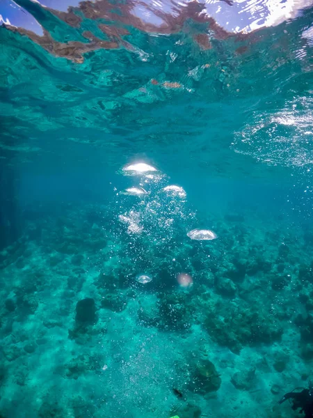 Belle Vue Sur Une Île Tropicale Typique Curaçao — Photo