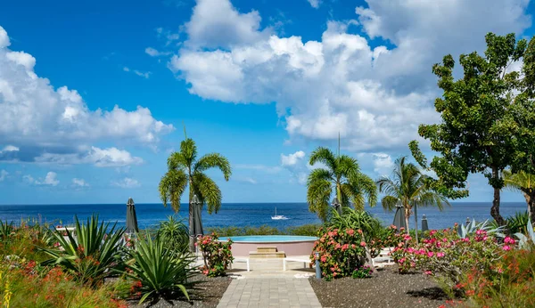 Luxury Hotel Resort Swimming Pool Gorgeous View Caribbean Sea — Stock Photo, Image