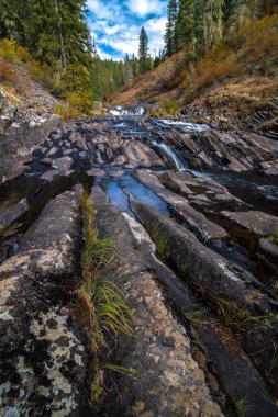 Nehir yatağı Elk Nehri, Idaho