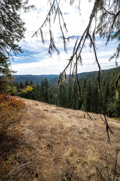 Foresta Dell Idaho Autunno Stati Uniti — Foto Stock