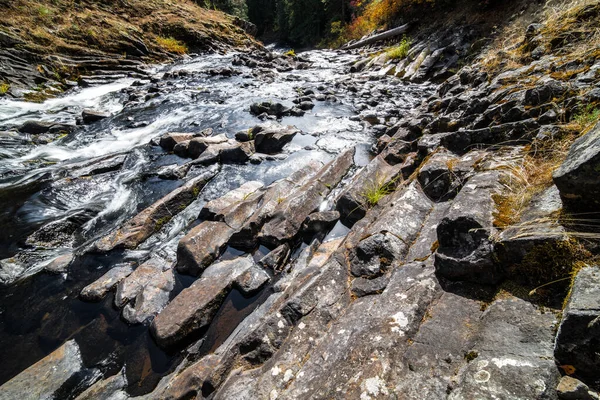 Letto Del Fiume Elk Idaho — Foto Stock