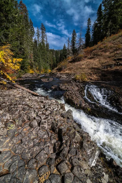 Koryto Rzeki Rzeka Elk Idaho — Zdjęcie stockowe