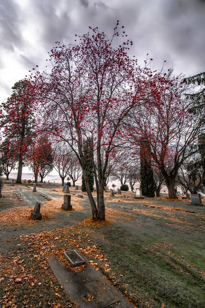 Cementerio Otoño Con Árboles —  Fotos de Stock