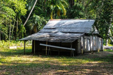 Pulau Ubin 'deki Old Shed, Singapur