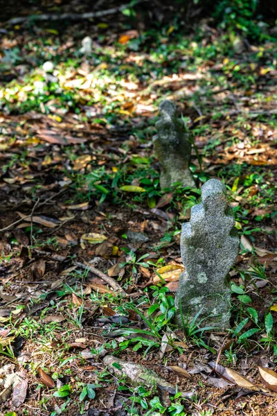 Sungi Durian Müslüman Mezarlığı Pulau Ubin Singapur — Stok fotoğraf