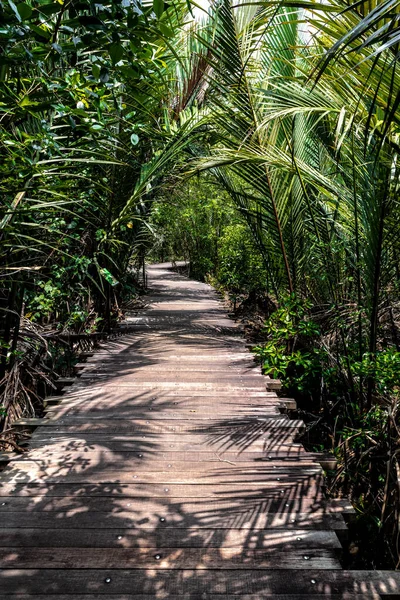 Chek Jawa Yolu, Pulau Ubin, Singapur