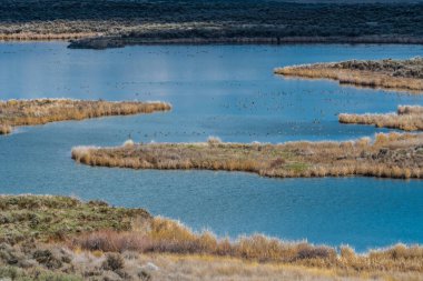 Royal Lake, Adams County, WA, ilkbaharda.
