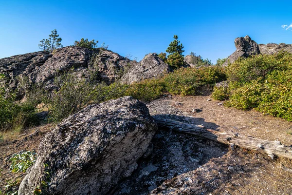 Naturschutzgebiet Iller Creek Spokane — Stockfoto